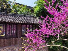 -乌村