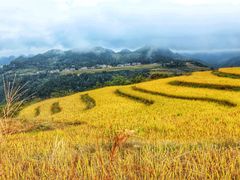 -龙里油画大草原旅游区