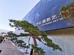 -罗红摄影艺术馆