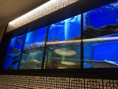 -新加坡海鲜共和(名胜世界圣淘沙海滨坊)