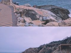 -广东惠东海龟国家级自然保护区