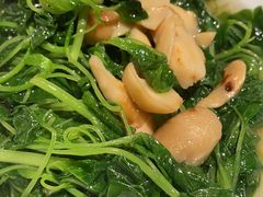 -绿波廊七号(豫园新路店)