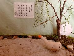 -培德书院幼儿园