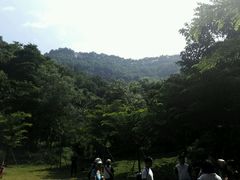 -田心森林公园