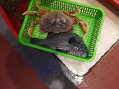 -船奇蒸汽海鲜·闽菜(八市海鲜总店)