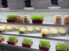 -番食园鲜食火锅(高新店)