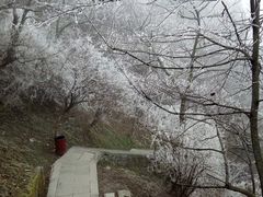 -武当山风景区-太子坡