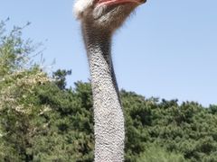 -沈阳森林动物园