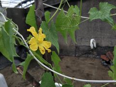 -永旺黄岛购物中心