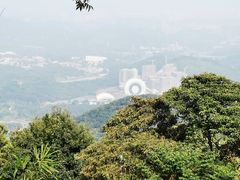 -黄埔油麻山森林公园