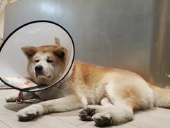 -YCHL Studios健身工作室(市二宫店)