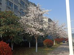 -江南大学(蠡湖校区)