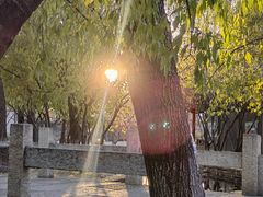 -春风习习