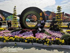 -武汉园博园(武汉自然博物馆)