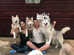 -TrueLove @ Neverland (Husky Cafe)