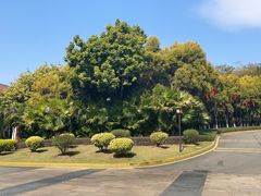 -厦门市图书馆(集美新城馆区)