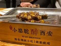 -福苗小骆驼烧烤(莲湖路店)