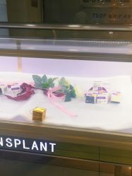 -新生植发·植养护一体