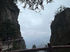 -老君山风景名胜区