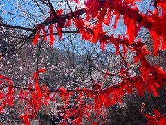 -鸡鸣山旅游风景区