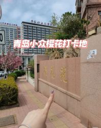 -青岛妇女儿童医院(辽阳西路院区)