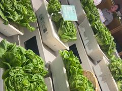 -九孔·筒骨莲藕汤锅(大明宫万达店)