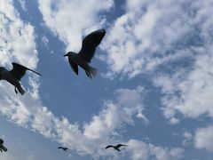 -海埂大坝