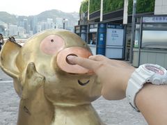 -星光大道