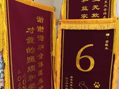 -谐和益家动物医院·免疫绝育·血液透析·宠保定点医院(高新伊藤分院)