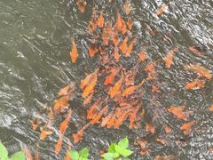 -五泄景区