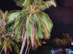 -锦里海景海鲜餐厅.三亚老字号(亚龙湾中心广场店)