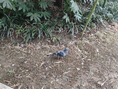 -苏州河梦清园环保主题公园