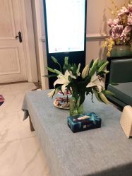 -静博士·养生养颜