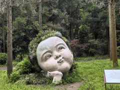 -东平国家森林公园