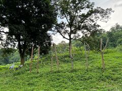 -福建鲤鱼洲酒店