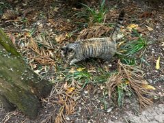 -狼山风景名胜区