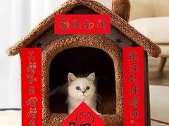 -北京观赏动物医院·24小时大型综合·猫专科·异宠专科