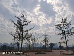 -汉长安城未央宫国家考古遗址公园