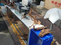 -哈尔滨道外花鸟鱼市场