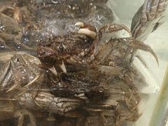 -金滏山烤肉·海鲜·火锅自助餐厅(襄阳万达店)