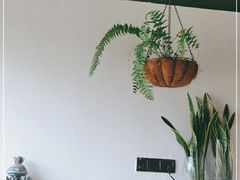 -喜洲吧·江畔老船厂·庭院餐厅(喜临院店)