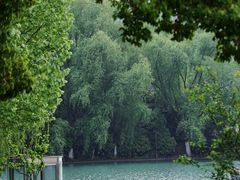 -天鹅湖体育公园