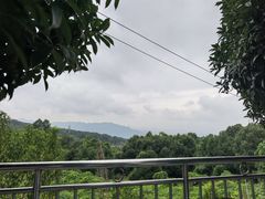 -金水泊山庄·花椒鸡(铁山坪店)