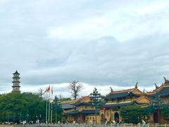 -江心屿景区