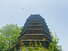 -正阳书局(西四南大街店)