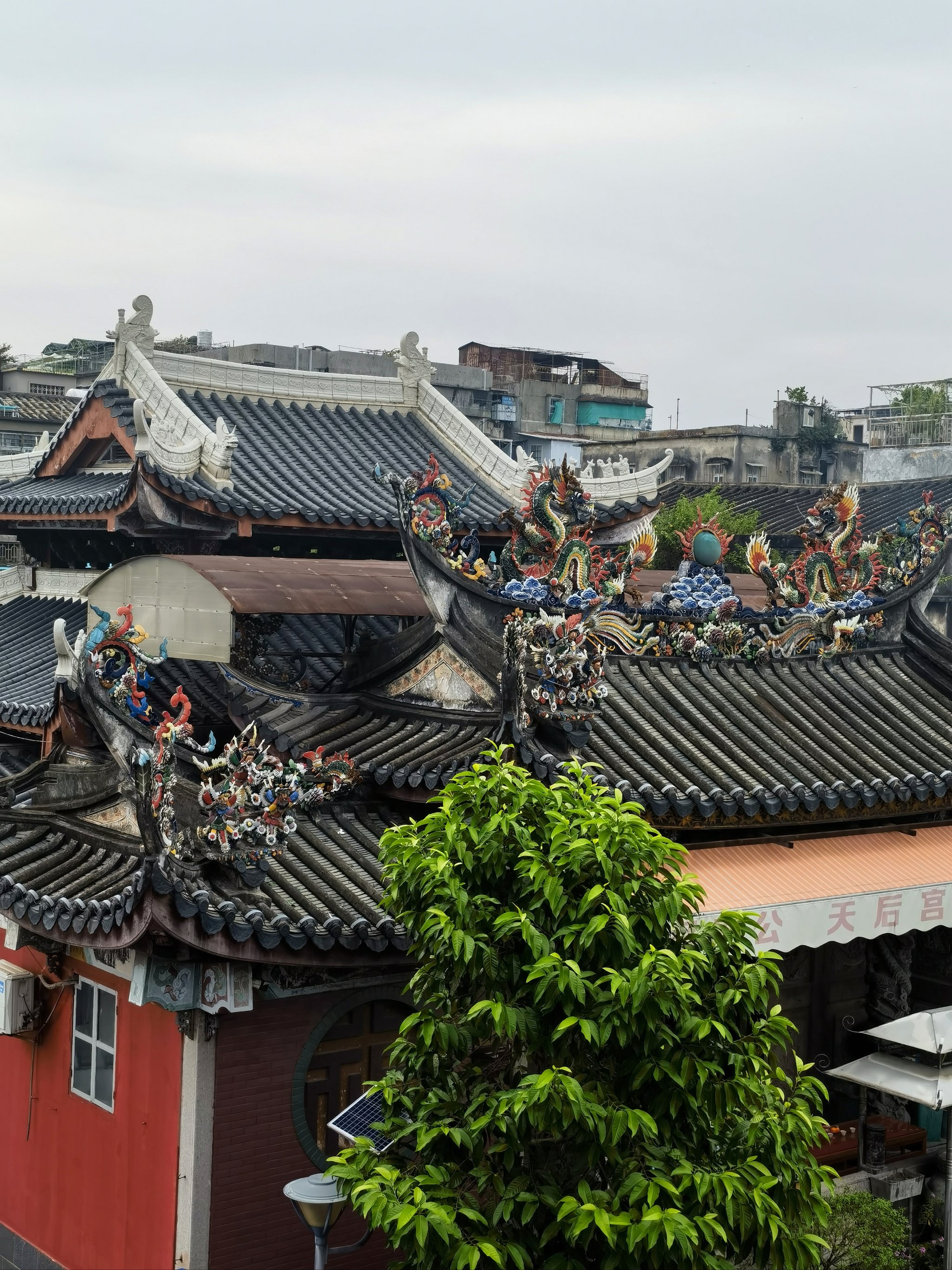 屋顶太震撼