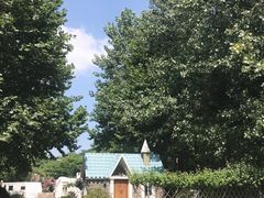 -木兰云雾山