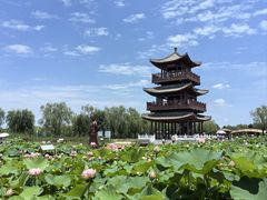 -白洋淀景区