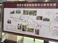 -牛背梁国家森林公园