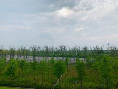 -南汇嘴观海公园